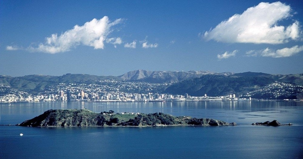 Aerial view Matiu