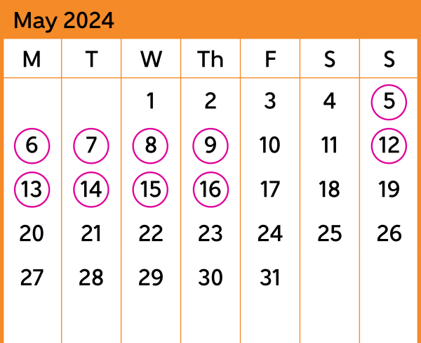 Hutt Valley Bus Replacement Calendar May