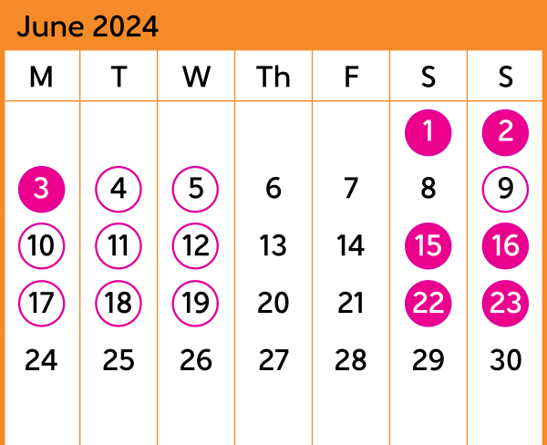 Hutt Valley Bus Replacement Calendar June