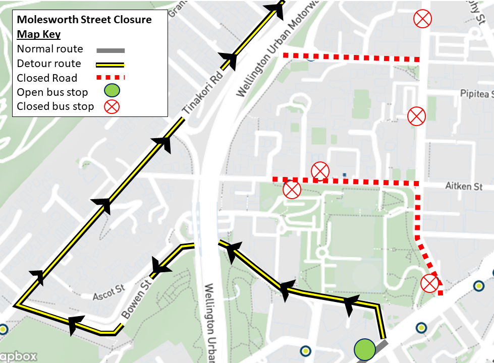 Molesworth Street detour