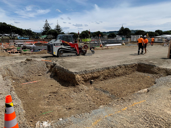 kauri street november