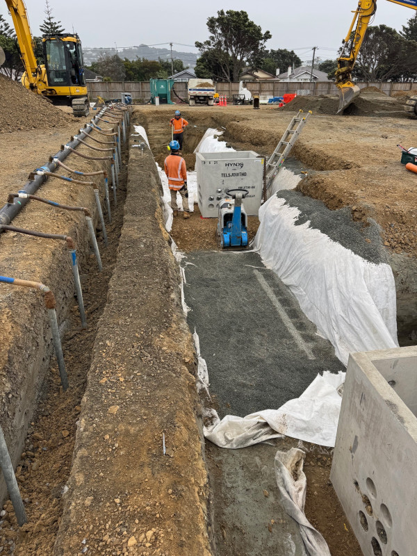 kauri street november