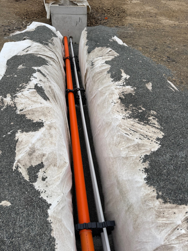 Kauri St November 2025